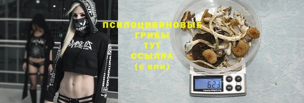 гашиш Вяземский