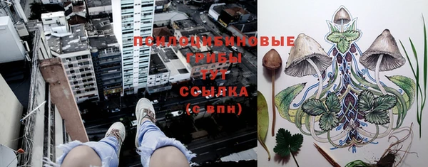 стафф Володарск