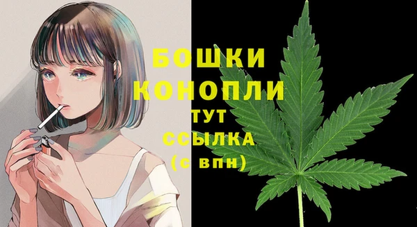 apvp Волосово